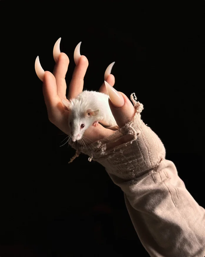 A hand wearing chromed Rat claws press-ons